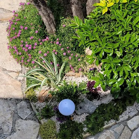 Ljubica Lejlighed Pirovac