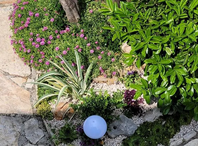 Ljubica Appartement Pirovac